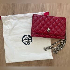 Alexander McQueen Skull Bag (excellent condition)